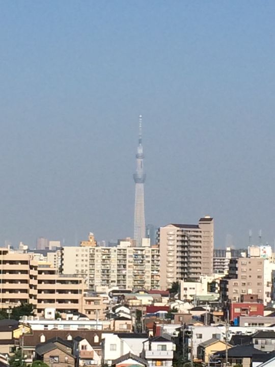 眺望 - スカイツリー、富士山が見えるオートロックマンション！} - ルームシェアルームメイト