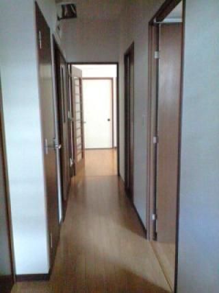 玄関 - 緊急値下☆新宿・池袋まで20分圏内、大きめバスタブのついた綺麗な3dkです。} - ルームシェアルームメイト