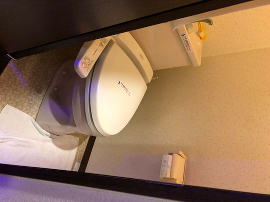 トイレ - 下宿人募（男性35歳～45歳程度で禁煙者、掃除洗濯片付け好きな方、収入が安定してる方）} - ルームシェアルームメイト