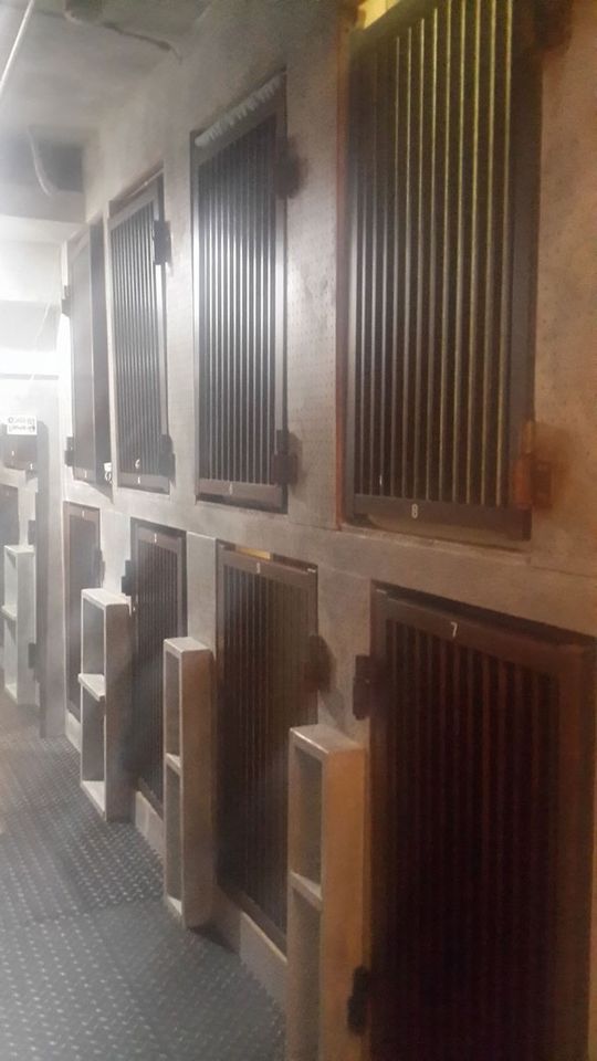 その他 - 【空き出ました‼】月25000円 六本木駅徒歩3分　男性専用ドミ} - ルームシェアルームメイト