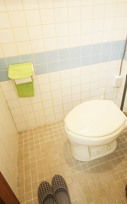 トイレ - 国際交流できる20代の楽しいハウス! 13年のノウハウで毎月パーティーもあります！国際交流なら、こちら国際交流協会ボーダレス東京} - ルームシェアルームメイト