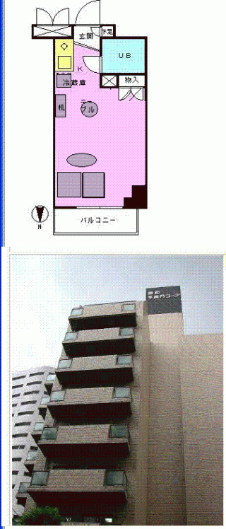 間取り図 - 都心の広めの美築ワンルーム使ってください} - ルームシェアルームメイト