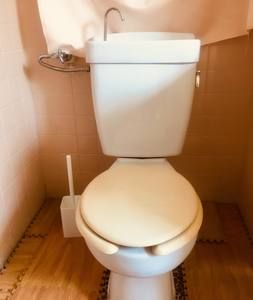 トイレ - 個室6畳 山手線巣鴨駅から徒歩6分 三田線4分} - ルームシェアルームメイト