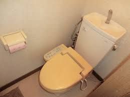 トイレ - 青葉台シェアハウス大作戦} - ルームシェアルームメイト