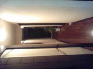 玄関 - 猫好きな方と} - ルームシェアルームメイト