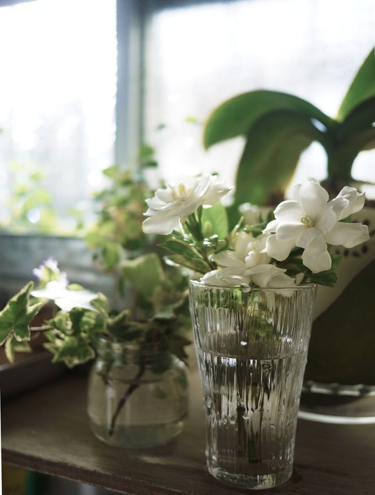 キッチン - 下北沢【お米食べ放題♪】オーガニック子育てシェアハウス} - ルームシェアルームメイト