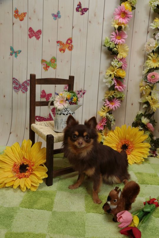 その他 - 夜勤仕事をしている方など夜型の人とのルームシェアを希望です} - ルームシェアルームメイト