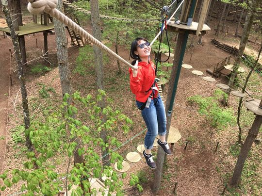 シェアメイト - 横浜まで10分　女性専用　猫と暮らす　DIY可のシェアメイト募集　ペット応相談} - ルームシェアルームメイト