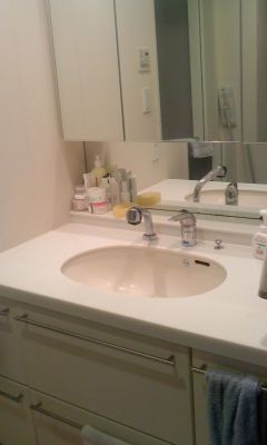 その他 - 江東区　駅から4分　ハイグレードな分譲マンションで快適に一緒に暮らしませんか} - ルームシェアルームメイト