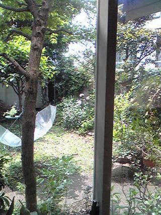 キッチン - 吉祥寺近お部屋貸します} - ルームシェアルームメイト