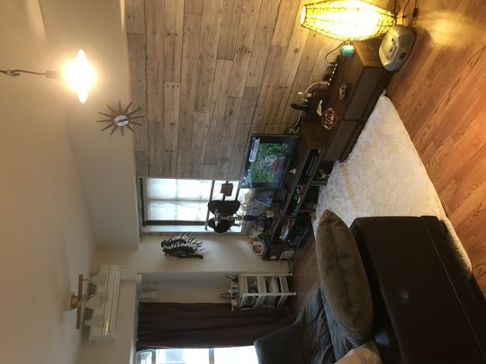 リビング - 広々、ハーフバルコニー付1LDKです。} - ルームシェアルームメイト