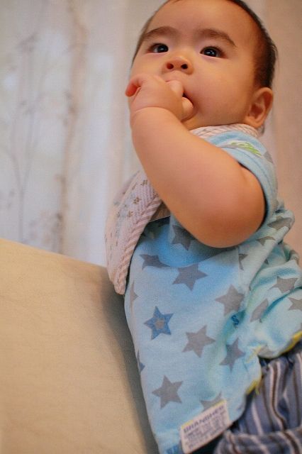 シェアメイト - 下北沢【お米食べ放題♪】オーガニック子育てシェアハウス} - ルームシェアルームメイト