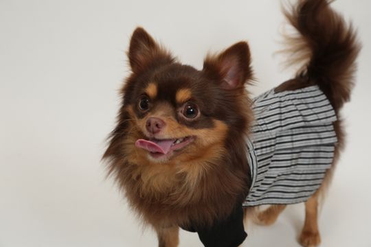 その他 - 09:00から20:00の間だけ部屋を貸したいです。} - ルームシェアルームメイト