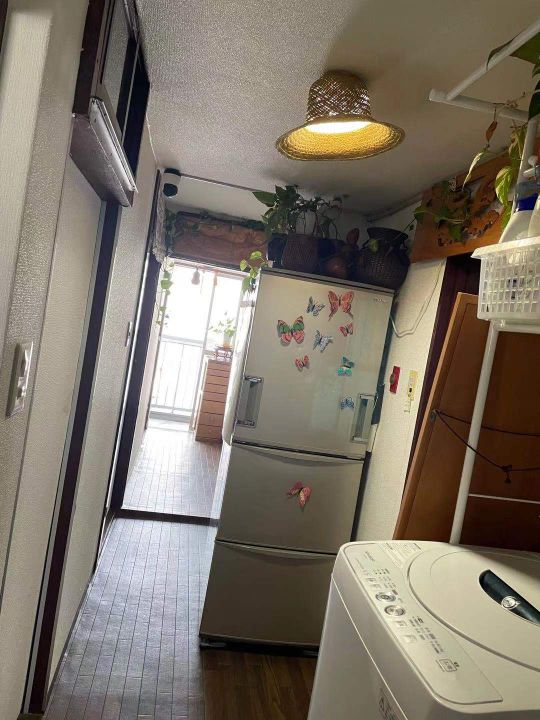 リビング - 山手線駒込駅徒歩１分　女性限定シェアハウス} - ルームシェアルームメイト