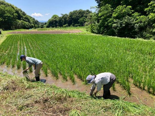 その他 - 半自給自足型コミュニティ　シェアメンバー募集} - ルームシェアルームメイト