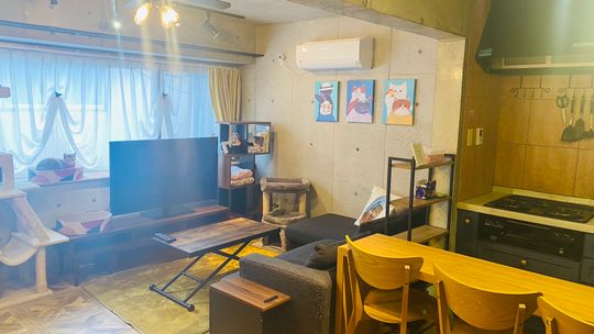 リビング - 猫は既に入居済！川崎で猫と暮らすシェアハウス★} - ルームシェアルームメイト