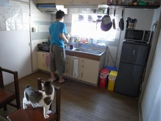 キッチン - 三軒茶屋 個室（短期利用も可）} - ルームシェアルームメイト