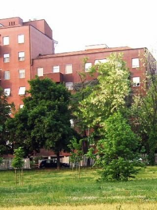 建物 - ミラノで留学生用の部屋を貸します} - ルームシェアルームメイト