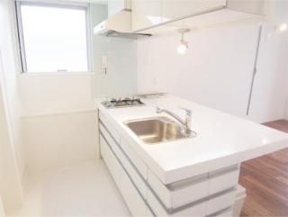 キッチン - ペット可のデザイナーズマンションでのシェアメイト募集です。} - ルームシェアルームメイト