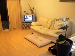 リビング - 大手町、有楽町、銀座に５分の、豊洲＆木場３ＬＤＫ新型マンション　女性限定　シェアメイト２人} - ルームシェアルームメイト