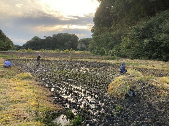 その他 - 半自給自足型コミュニティ　シェアメンバー募集} - ルームシェアルームメイト