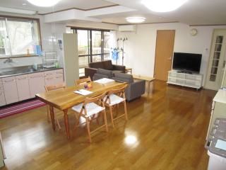 リビング - 集まれ！音楽家！楽器相談okの女性限定シェアハウス} - ルームシェアルームメイト