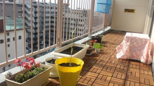 ベランダ - ８F　南向き１６帖ゆったりリビング、アクセスも案外良好！（夏はベランダから花火が見れるおまけ付）} - ルームシェアルームメイト