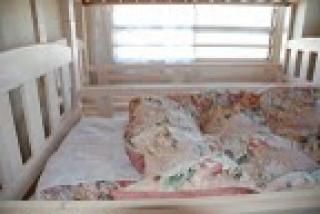 ベッド - 【自由が丘電車３分！女性限定ドミトリー】} - ルームシェアルームメイト