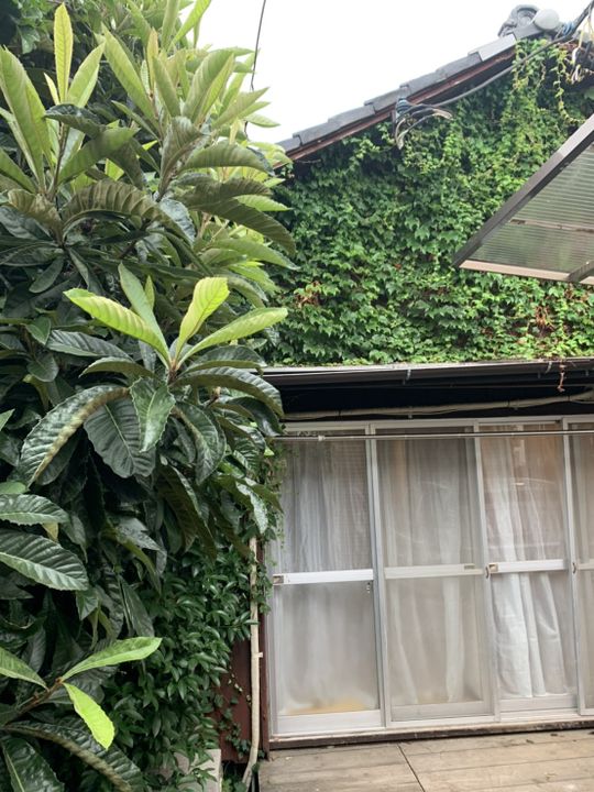 キッチン - 下北沢や三軒茶屋に歩いて行けちゃう！庭付き古民家シェアハウスに空きが出ました！} - ルームシェアルームメイト