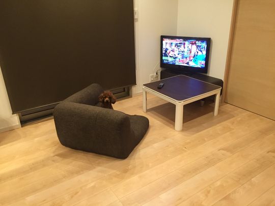 リビング - 八王子です。新築戸建てです。} - ルームシェアルームメイト