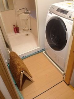 キッチン - ★〜初月無料のシェアハウス！池袋、新宿、渋谷まで電車で1本です〜} - ルームシェアルームメイト