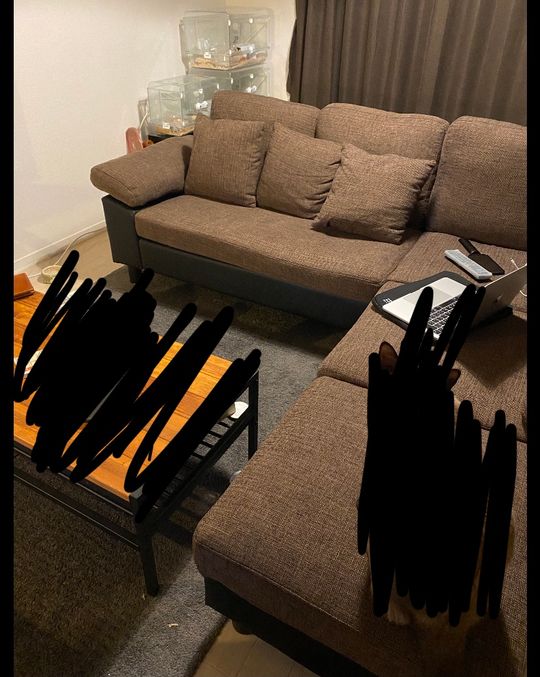 リビング - 藤沢市 湘南台駅最寄り 2LDKバストイレ別 猫います} - ルームシェアルームメイト