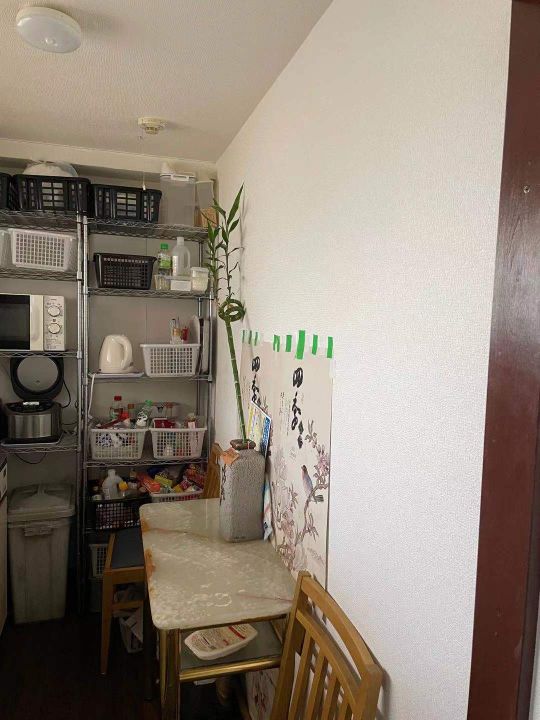 キッチン - 山手線駒込駅徒歩１分　女性限定シェアハウス} - ルームシェアルームメイト