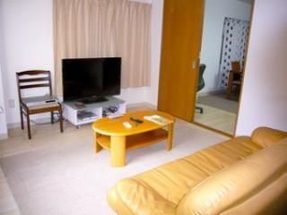 リビング - 浅草（蔵前駅）から徒歩1分！！} - ルームシェアルームメイト