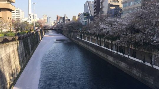 眺望 - 中目黒/恵比寿  家具付き ¥52,000} - ルームシェアルームメイト