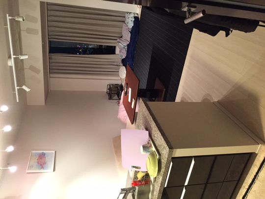 リビング - 豊洲タワーマンション超高層階ルームメイト募集} - ルームシェアルームメイト