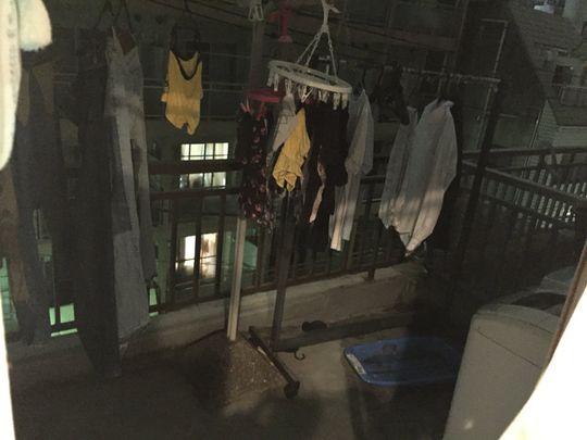 ベランダ - 東京池袋駅近ルームシェア募集} - ルームシェアルームメイト