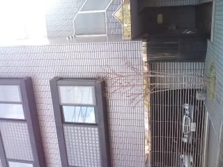 建物 - 新宿まで１５分！　駅近！！　女性募集！！} - ルームシェアルームメイト