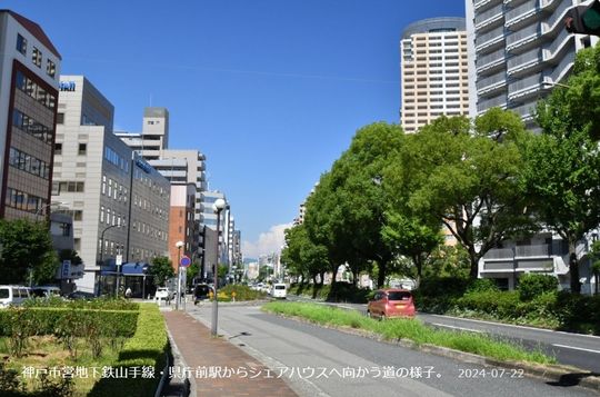 眺望 - 神戸市中央区、トアロード近くの女子だけのシェアハウスです。} - ルームシェアルームメイト