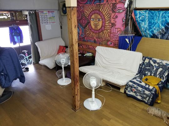 リビング - 上野の昭和古民家シェア　5畳46000円　上野徒歩6分　入谷徒歩2分　駐輪スペース有　犬と猫がいます　　(※サイトエラーの為、画像が一部逆さですいません)} - ルームシェアルームメイト