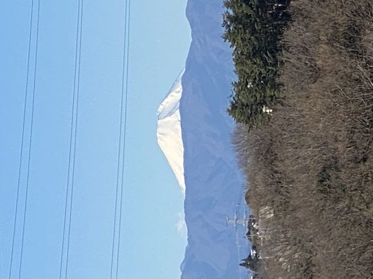 眺望 - スポーツで留守にする70歳の4LDK!} - ルームシェアルームメイト