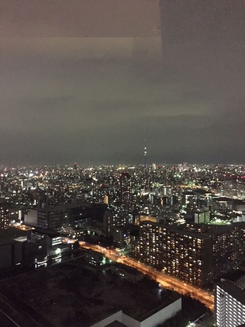 眺望 - 豊洲タワーマンション超高層階ルームメイト募集} - ルームシェアルームメイト