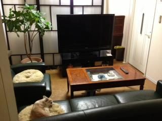 リビング - 初期費用0円で三軒茶屋のマンションでルームシェア！} - ルームシェアルームメイト