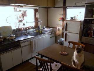 キッチン - 商店街が近く、都心へのアクセスにも便利です！！} - ルームシェアルームメイト