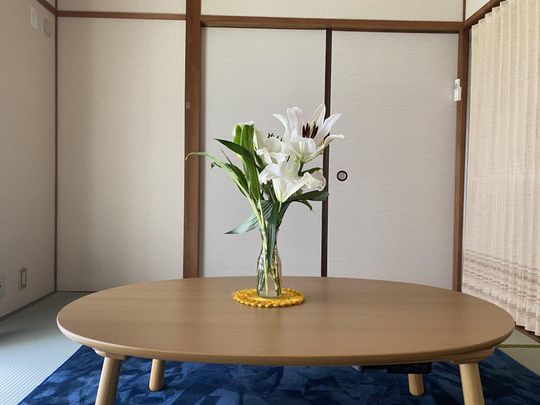 リビング - ルームメイトを探しています！} - ルームシェアルームメイト