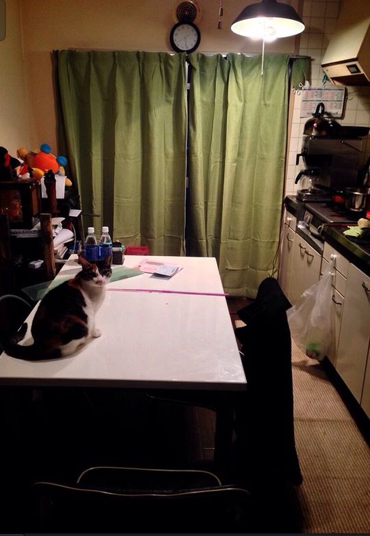 ダイニング - ルームメイト募集！} - ルームシェアルームメイト