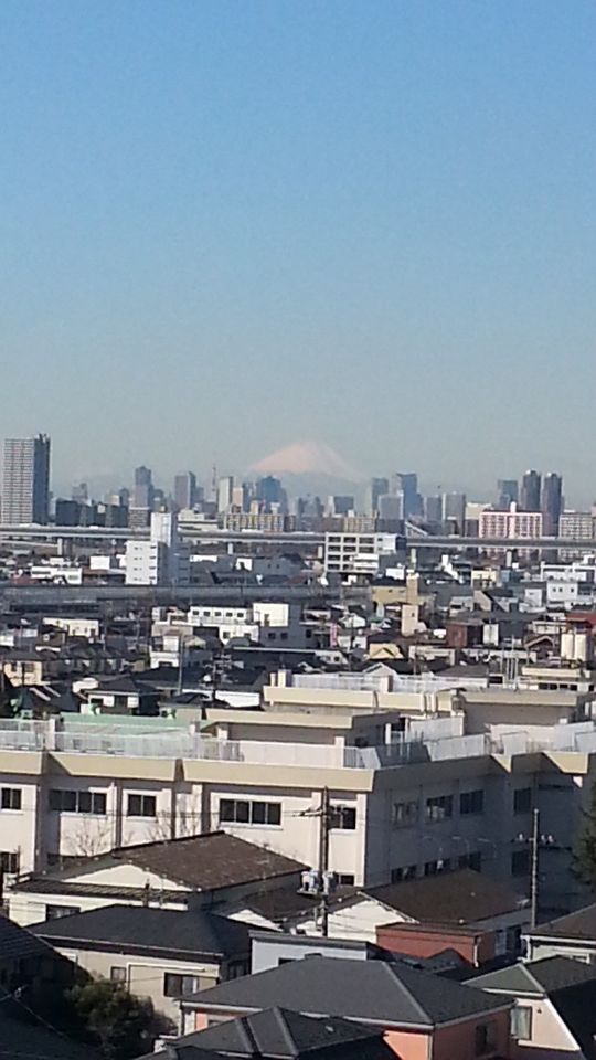 眺望 - スカイツリー、富士山が見えるオートロックマンション！} - ルームシェアルームメイト