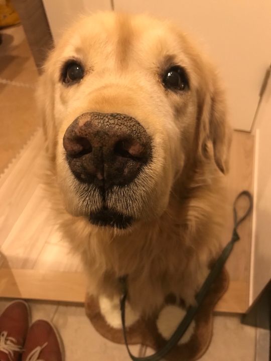 玄関 - 2LDKの同居人募集しています！} - ルームシェアルームメイト