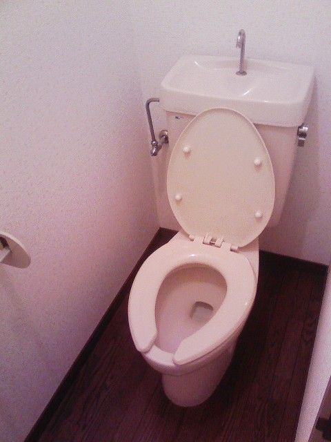 トイレ - 喫煙可！秋葉原、新宿、池袋通勤可能圏内、角部屋個室３９０００円} - ルームシェアルームメイト