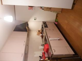 キッチン - 広々一軒家+ネコ★女性1名を募集しています(全員女性)} - ルームシェアルームメイト